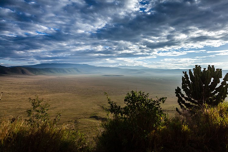 TZA ARU Ngorongoro 2016DEC26 Crater 010